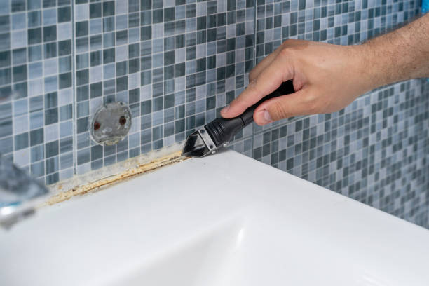 Mold Removal and Inspection in Fairfax, VA
